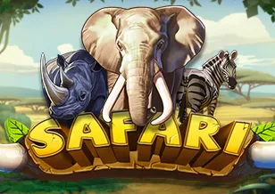 Safari